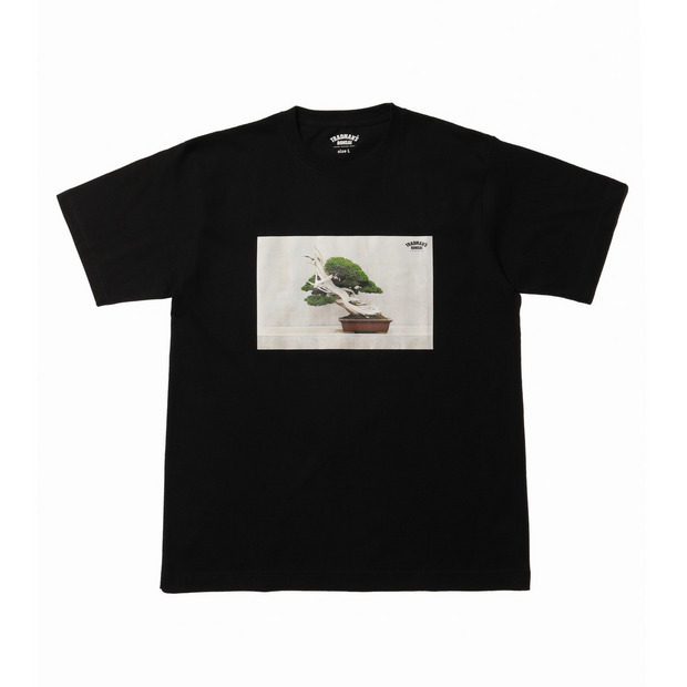 BONSAI PHOTO T-SHIRT　-真柏-